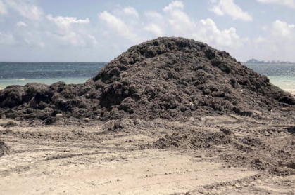 De l’art de l’attention des pollutions à leurs traductions